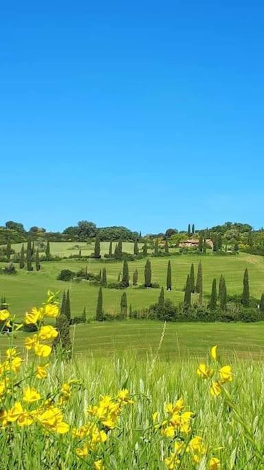 Villa Marta Contignano Exteriör bild